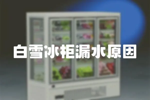 白雪冰柜漏水原因