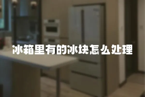 冰箱里有的冰塊怎么處理