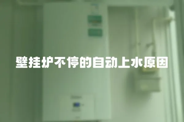 壁掛爐不停的自動上水原因