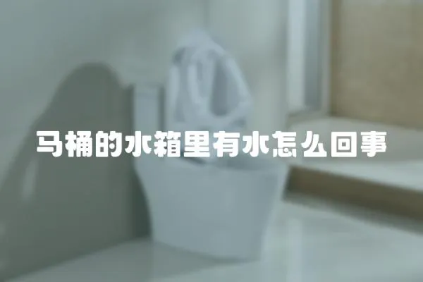 馬桶的水箱里有水怎么回事