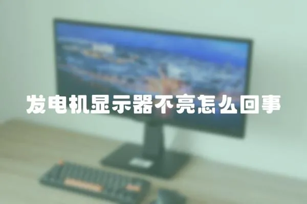 發(fā)電機(jī)顯示器不亮怎么回事