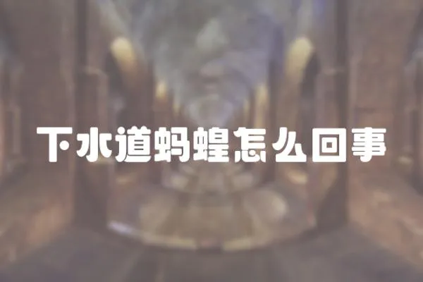 下水道螞蝗怎么回事