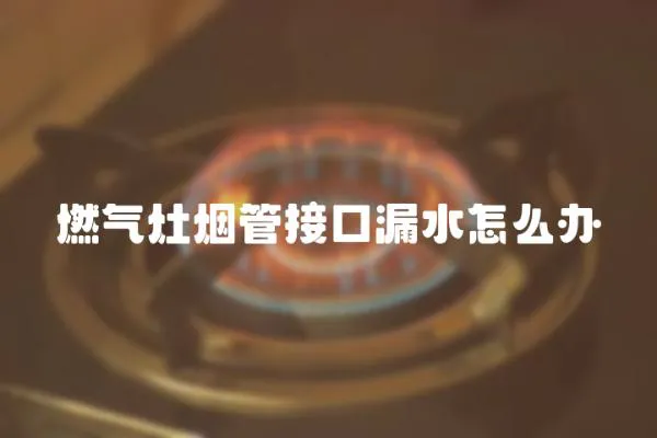 燃氣灶煙管接口漏水怎么辦
