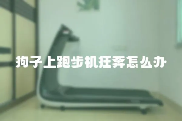 狗子上跑步機狂奔怎么辦