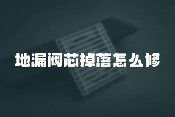地漏閥芯掉落怎么修
