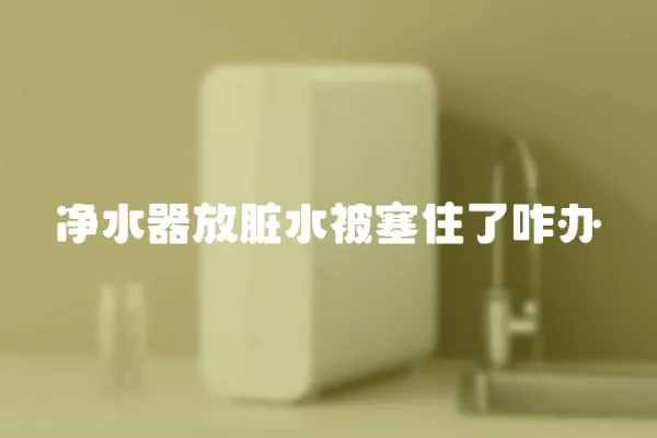 凈水器放臟水被塞住了咋辦