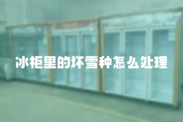 冰柜里的壞雪種怎么處理
