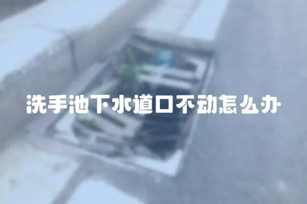 洗手池下水道口不動怎么辦