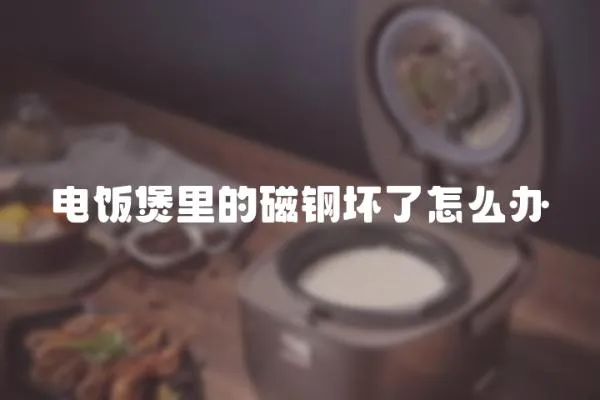 电饭煲里的磁钢坏了怎么办