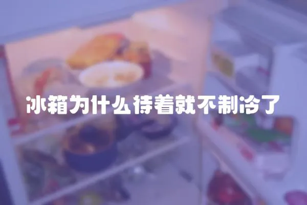 冰箱為什么待著就不制冷了