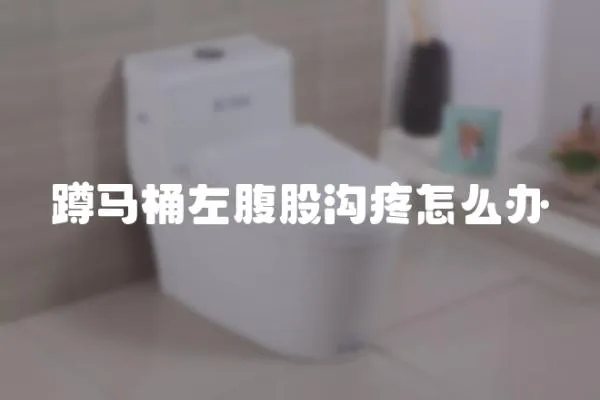 蹲馬桶左腹股溝疼怎么辦