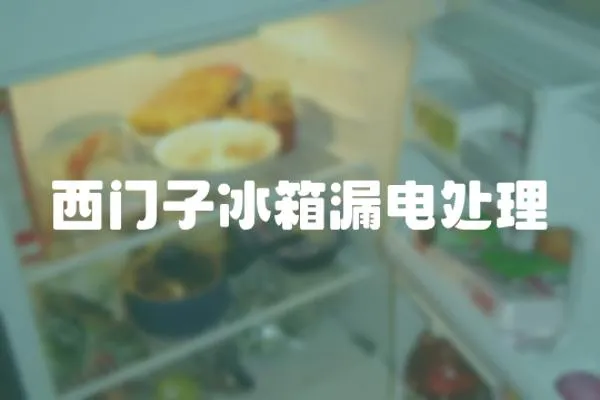 西門子冰箱漏電處理