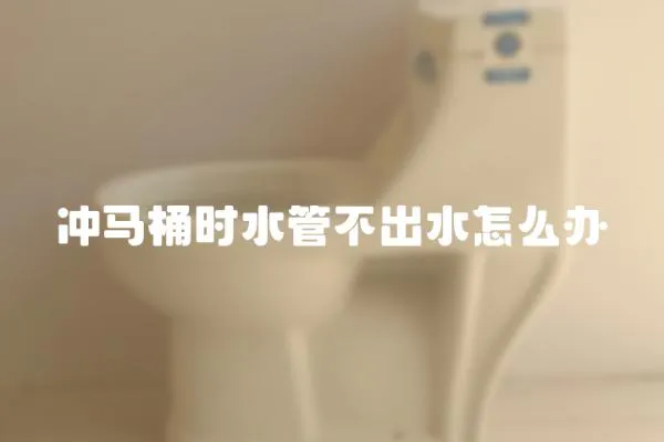 沖馬桶時(shí)水管不出水怎么辦
