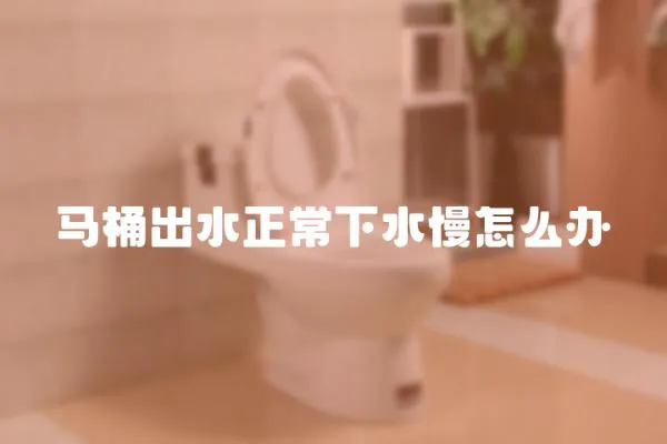 馬桶出水正常下水慢怎么辦