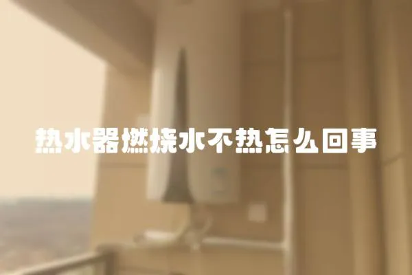 熱水器燃燒水不熱怎么回事