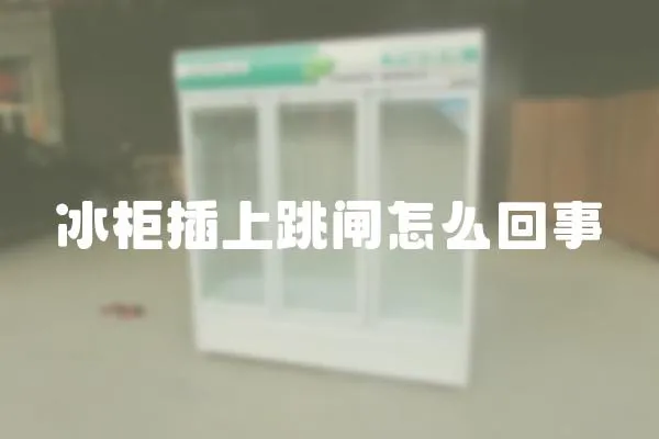 冰柜插上跳閘怎么回事