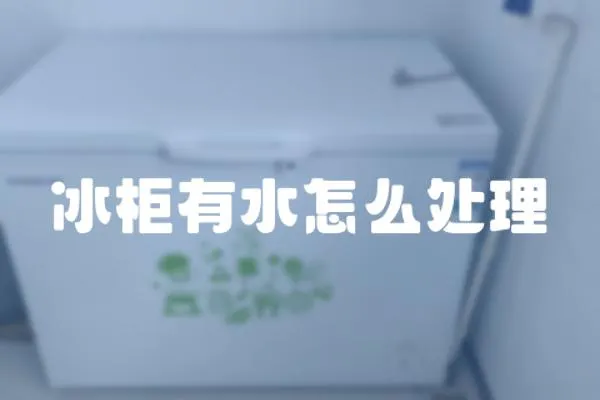 冰柜有水怎么處理