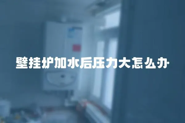 壁掛爐加水后壓力大怎么辦