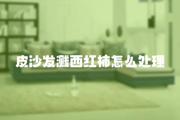 皮沙發(fā)濺西紅柿怎么處理