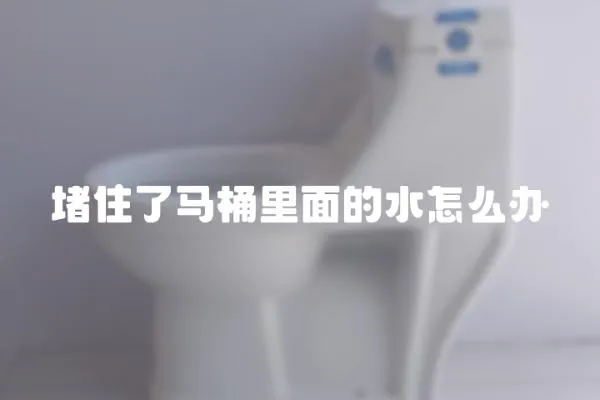 堵住了馬桶里面的水怎么辦