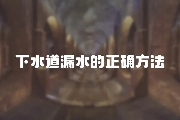 下水道漏水的正確方法