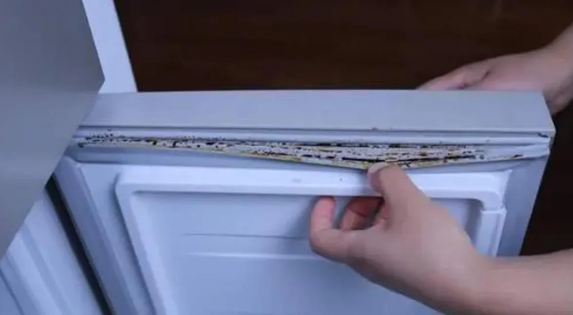 冰箱臟了怎么清洗