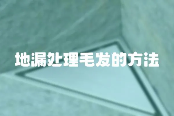 地漏處理毛發的方法