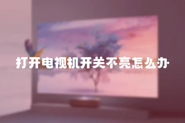 打開電視機開關不亮怎么辦