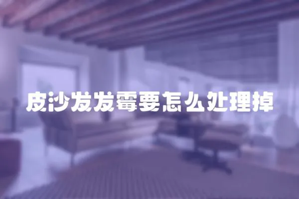 皮沙發發霉要怎么處理掉