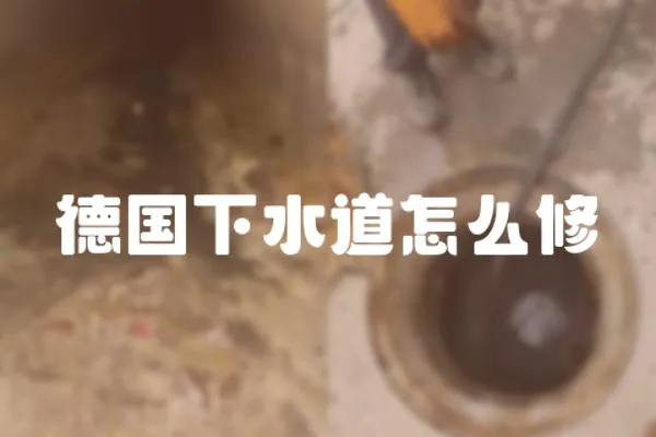 德國下水道怎么修