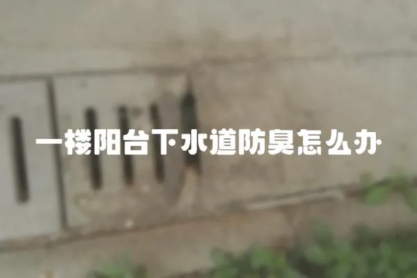 一樓陽臺下水道防臭怎么辦
