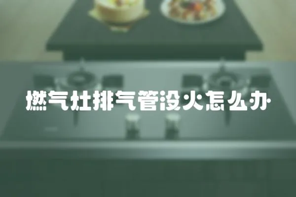 燃氣灶排氣管沒火怎么辦
