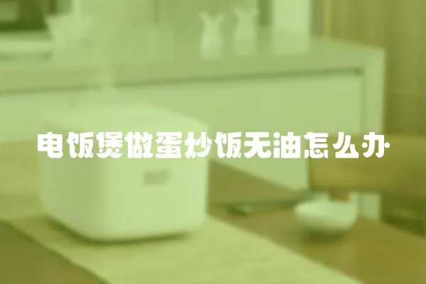 電飯煲做蛋炒飯無油怎么辦