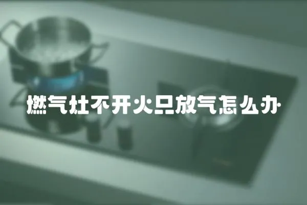 燃氣灶不開火只放氣怎么辦