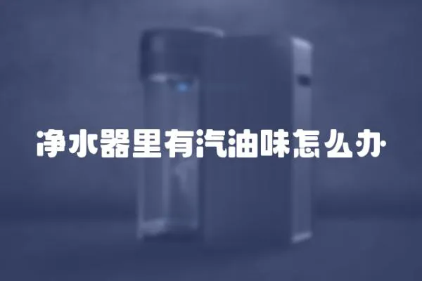 凈水器里有汽油味怎么辦
