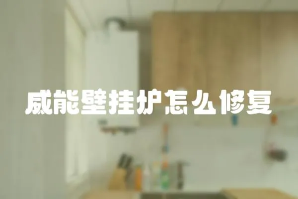 威能壁掛爐怎么修復
