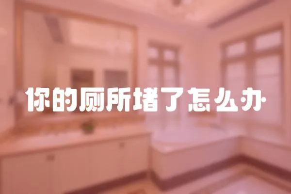 你的廁所堵了怎么辦