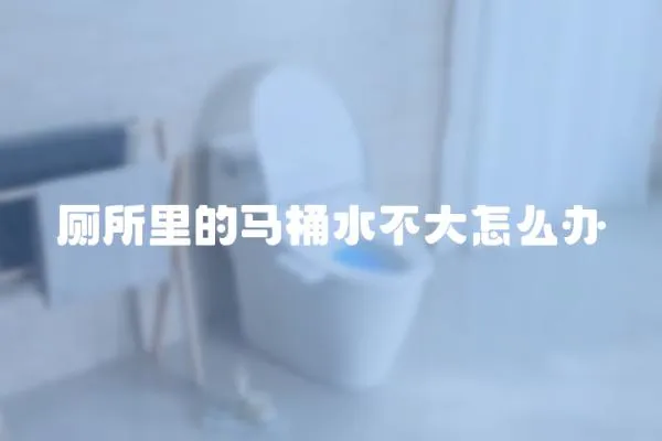 廁所里的馬桶水不大怎么辦
