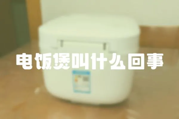電飯煲叫什么回事