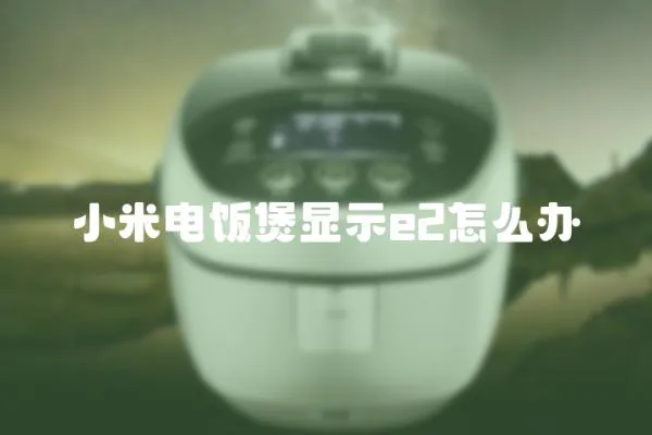 小米電飯煲顯示e2怎么辦