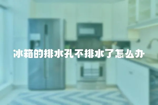 冰箱的排水孔不排水了怎么辦