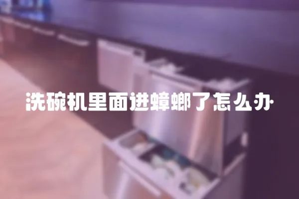 洗碗機(jī)里面進(jìn)蟑螂了怎么辦