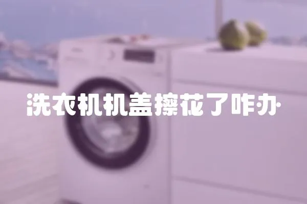 洗衣機機蓋擦花了咋辦