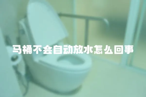馬桶不會自動放水怎么回事