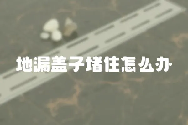 地漏蓋子堵住怎么辦
