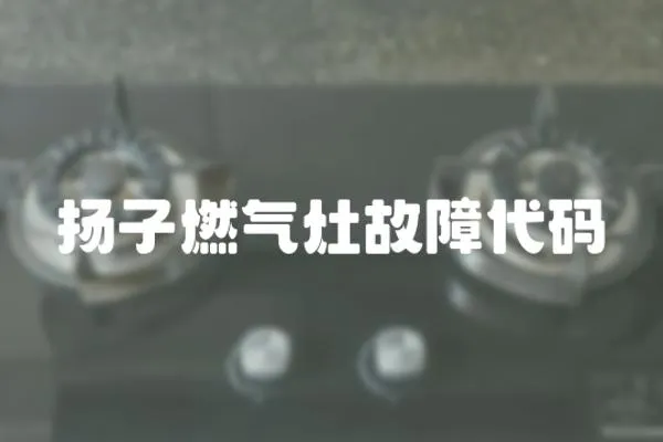 揚子燃氣灶故障代碼