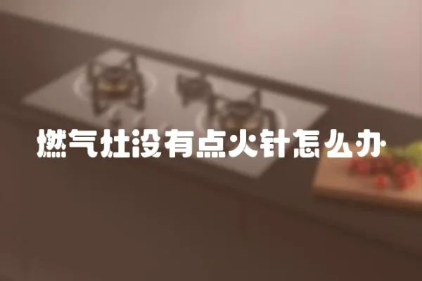 燃氣灶沒有點火針怎么辦