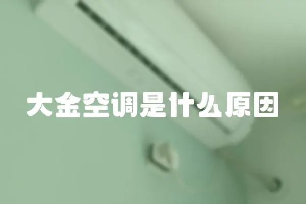 大金空調是什么原因