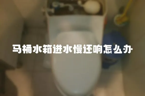 馬桶水箱進水慢還響怎么辦