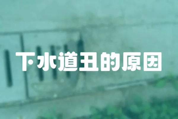 下水道丑的原因